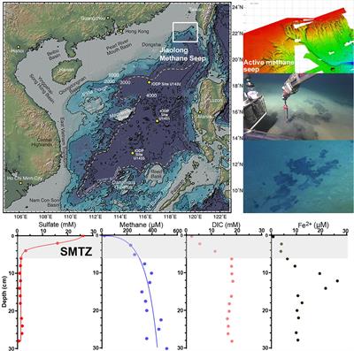 Niche Differentiation of Sulfate- and Iron-Dependent Anaerobic Methane Oxidation and Methylotrophic Methanogenesis in Deep Sea Methane Seeps